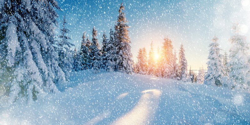 hope-at-Christmas
